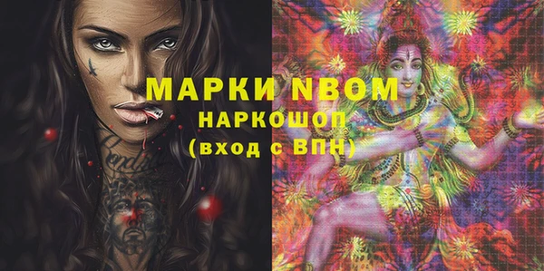 индика Михайловск