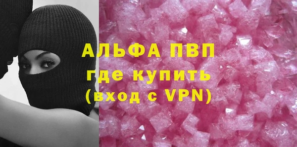 индика Михайловск