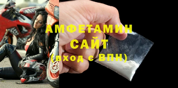 индика Михайловск