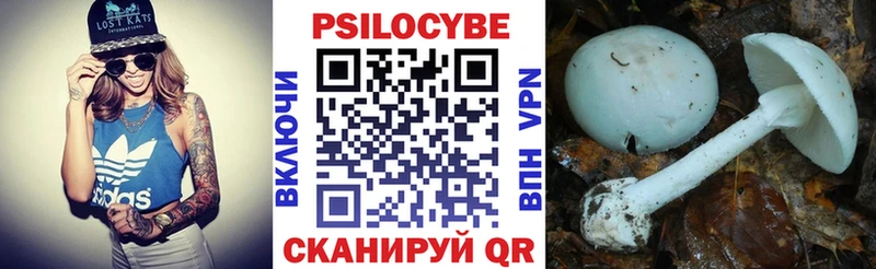 где можно купить   Мещовск  Галлюциногенные грибы GOLDEN TEACHER 
